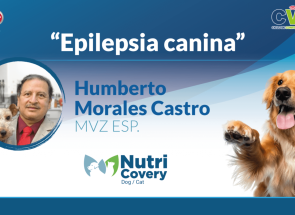 Humberto-Morales-Castro-Portada-YT (1)