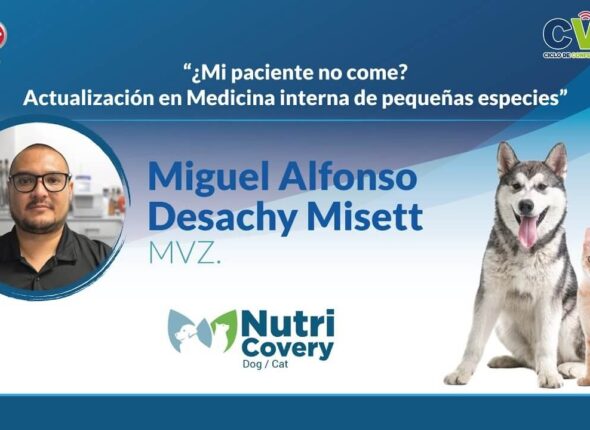 PORTADA-YT-MI PACIENTE (1)