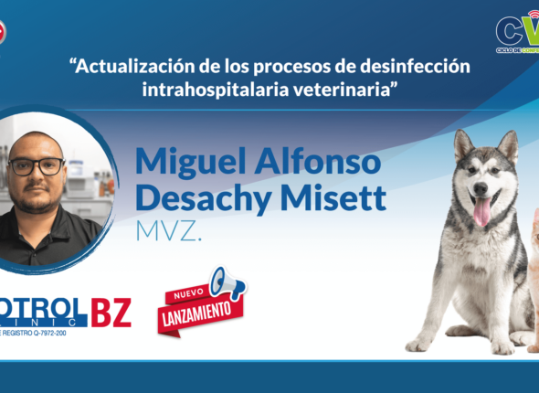 Portada-WEBINAR (1)