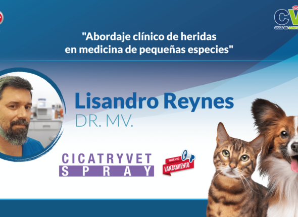 Portada-WEBINAR-Lisandro (1) (1)
