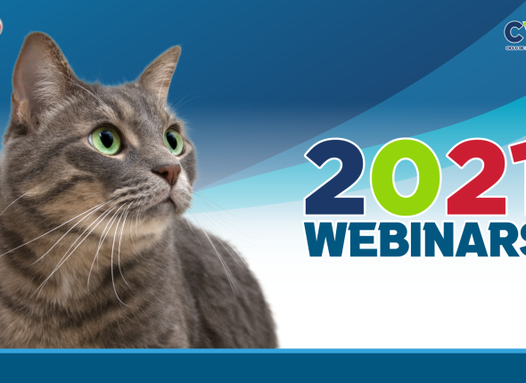 webinars 2021