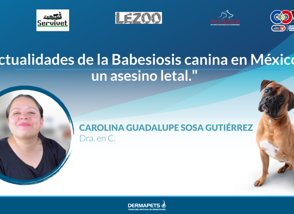 ACTUALIDADES-DE-LA-BABESIOSIS