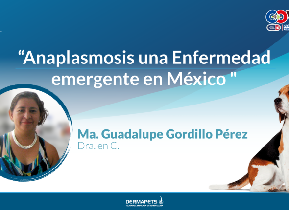 ANAPLASMOSIS-UNA-ENFERMEDAD-EMERGENTE