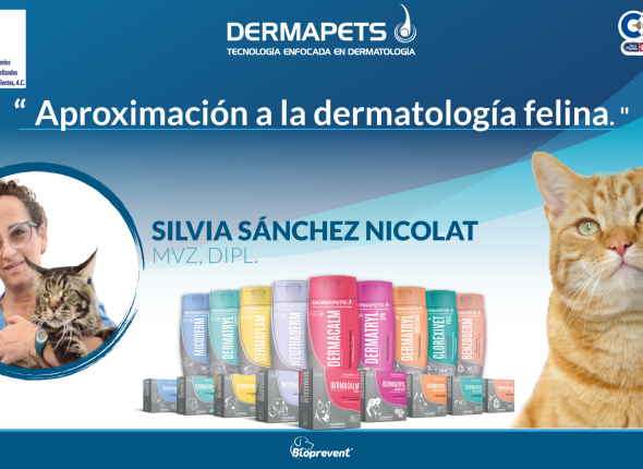 Aproximación-a-la-dermatolgía-felina-