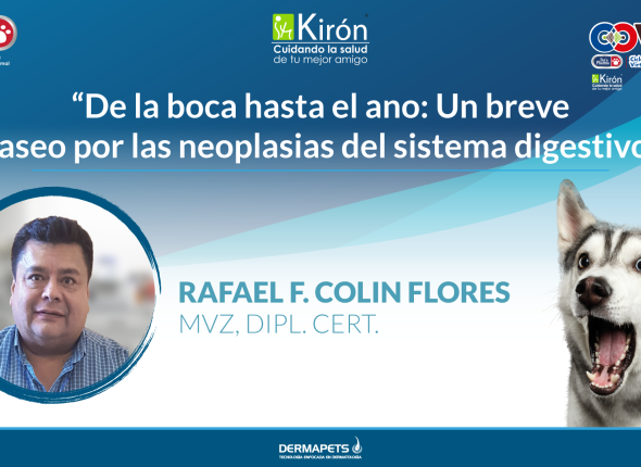 BREVE-PASEO-POR-LAS-NEOPLASIAS_PETS