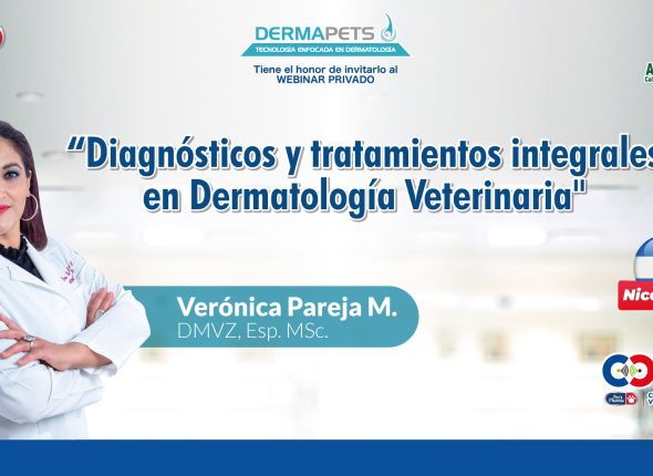 Diagnósticos-y-tratamientos-integrales