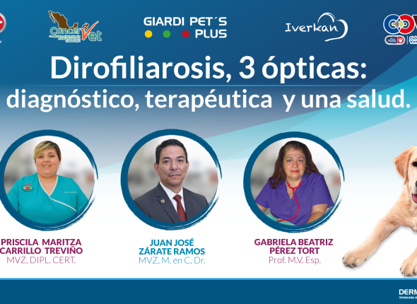 Dirofiliarosis-3-ópticas