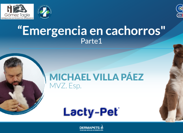 EMERGENCIA-EN-CACHOROS-PARTE-1