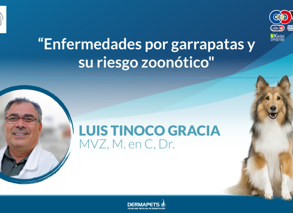 ENFERMEDADES-POR-GARRAPATAS