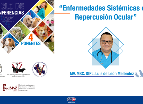 ENFERMEDADES-SISTÉMICAS