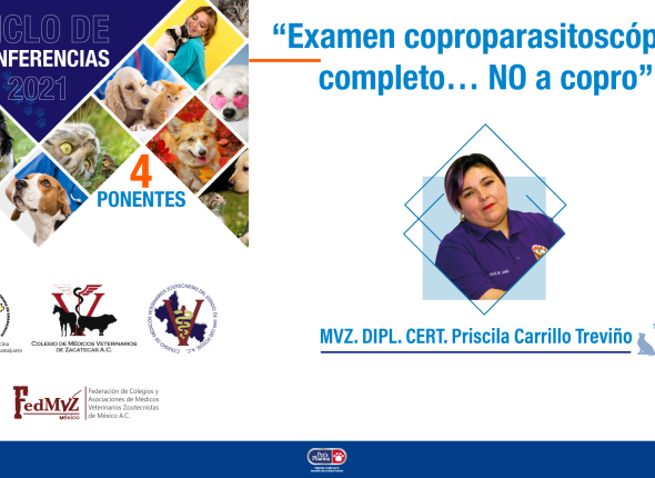 Examen-coproparasitoscópico-completo…-NO-a-copro