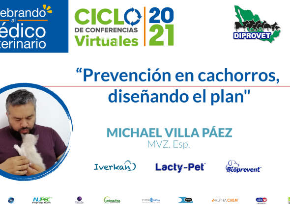 PREVENCIÓN-EN-CACHORROS