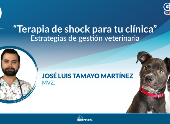 TERAPIA-DE-SHOCK-PARA-TU-CLÍNICA-