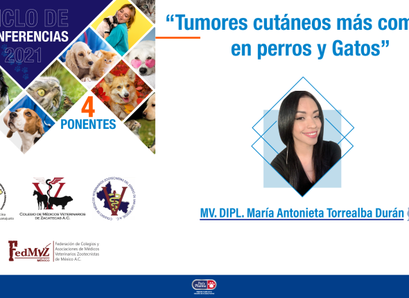 TUMORES-MÁS-COMUNES-EN-PERROS-Y-GATOS