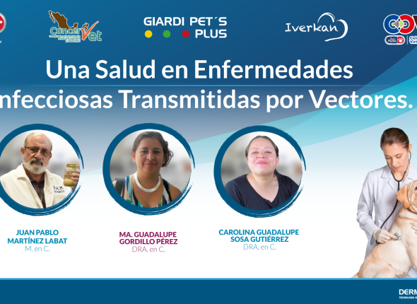 UNA-SALUD-EN-ENFERMEDADES