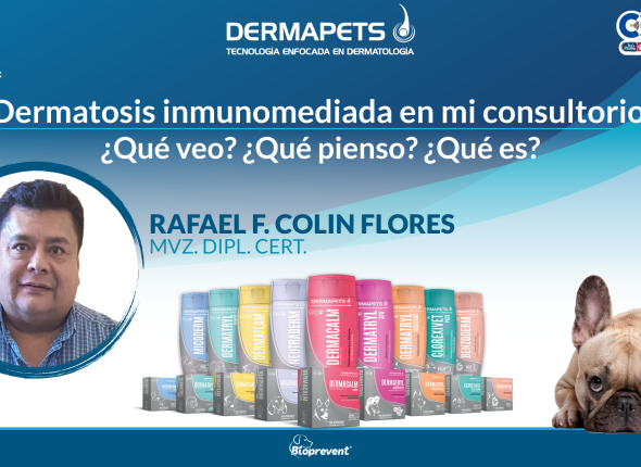 dermatosis inmunomediata en mi consultorio