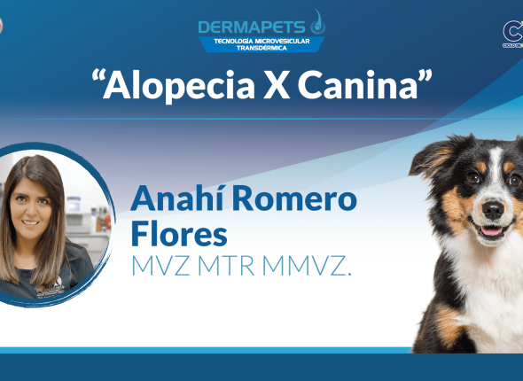 9_JUL-PETS-Webinar-Anahí_YT (1)