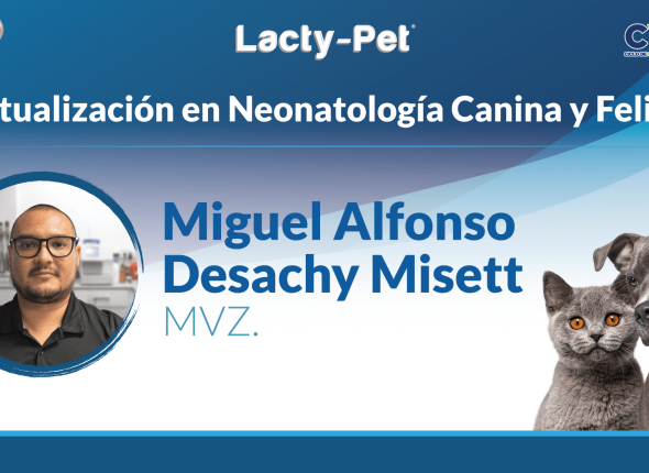 27-AGO-PETS-Webinar-Miguel-YT (1)