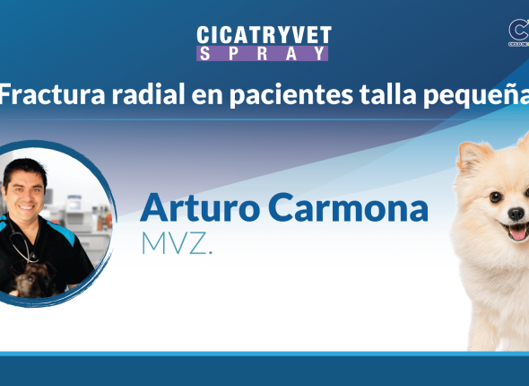 5-NOV-Arturo-Carmona-YT (1) (1)