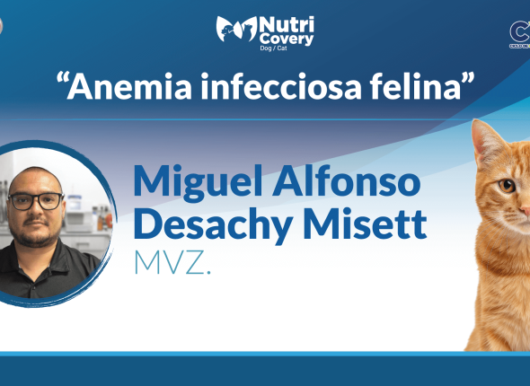 17-Dic-PETS-Webinar-Miguel-YT (1)