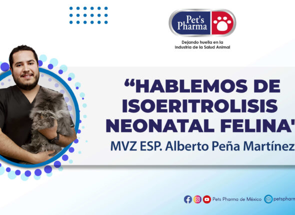 Webinar_Youtube (1)