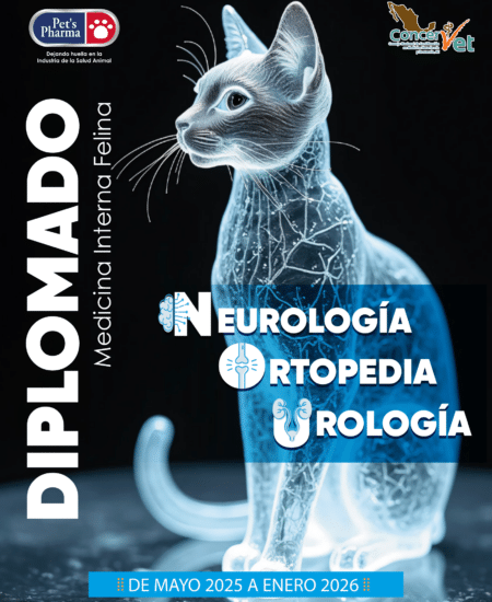 DIPLOMADO S-C PAGINA WEB-1