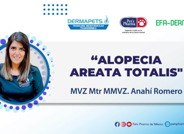 WEBINAR-MVZ.-Anahí-Romero-Portada-YT (1)