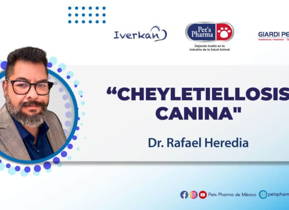 WEBINAR-MVZ.-Rafael-Heredia-Portada-YT (1)