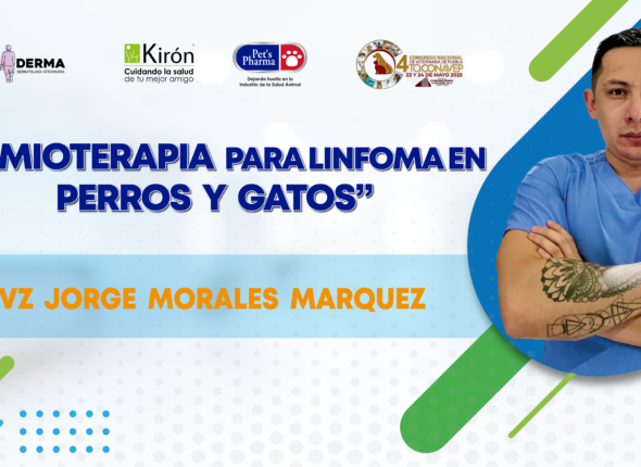 WEBINAR _Youtube (1) (1)