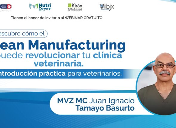 Lean Manufacturing _PORTADA YouTube - Zoom (1)