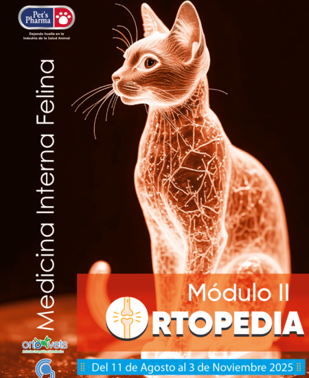 fechas_junio_SN-CONCERVET_Mesa de trabajo 1 copia 3