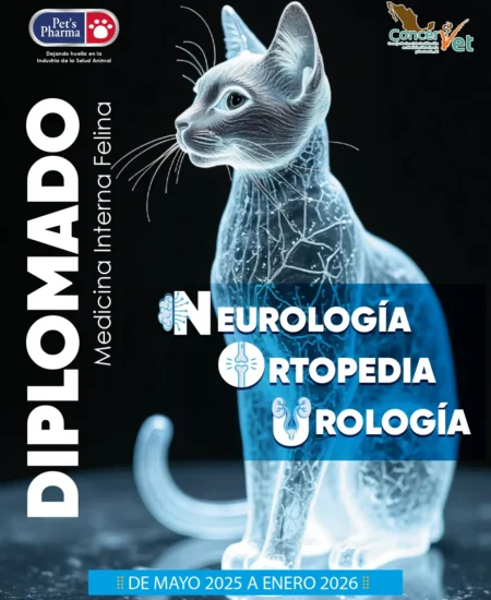 SN-CONCERVET_page-0001