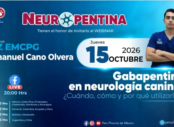 OCTUBRE_ai_Youtube_2560 px 1440